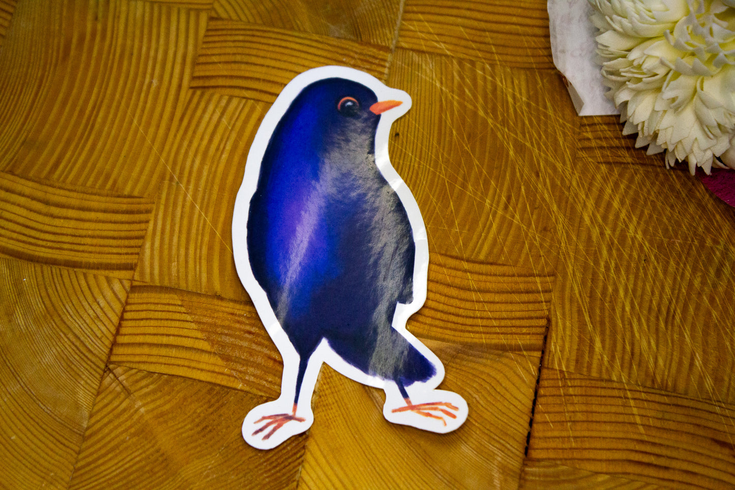 Sticker - Oiseaux : Noir Bleu